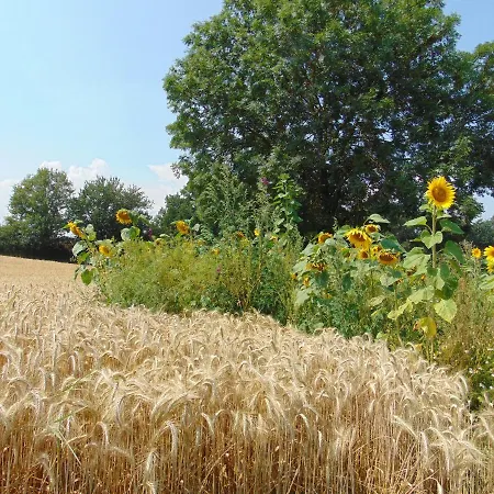 Ferienbauernhof Neumuehle Appartement *