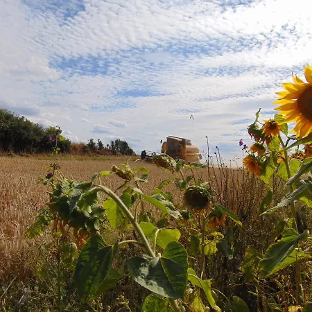 Ferienbauernhof Neumuehle Appartement Gappenach