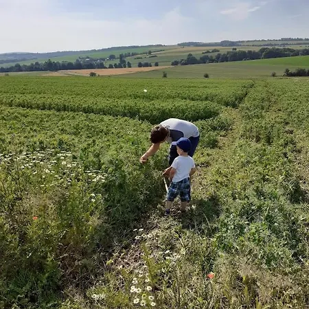 Appartement Ferienbauernhof Neumuehle Gappenach