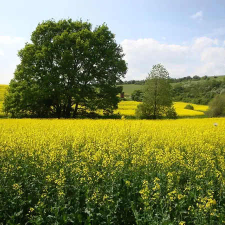 Apartment Ferienbauernhof Neumuehle