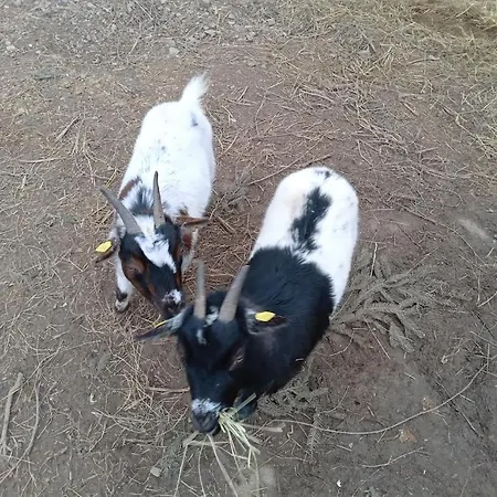 Ferienbauernhof Neumuehle