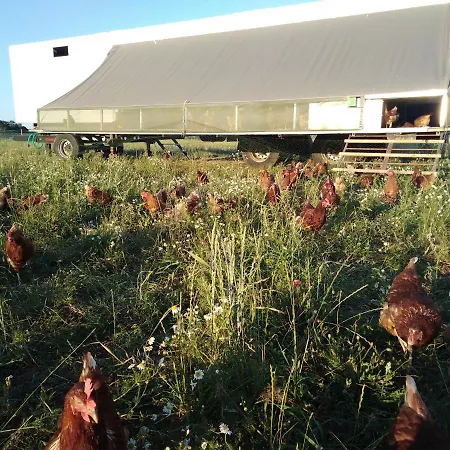 Ferienbauernhof Neumuehle * Gappenach