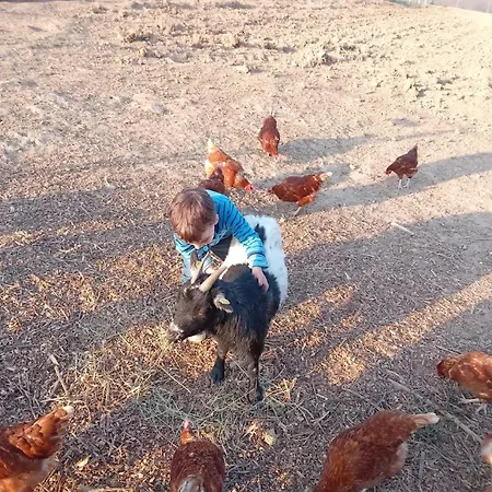 Ferienbauernhof Neumuehle Gappenach