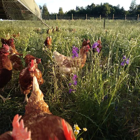 Ferienbauernhof Neumuehle