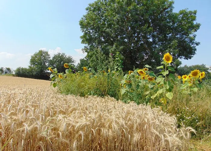 Ferienbauernhof Neumuehle Apartamento *