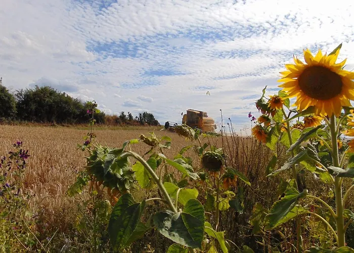 Ferienbauernhof Neumuehle Apartamento Gappenach