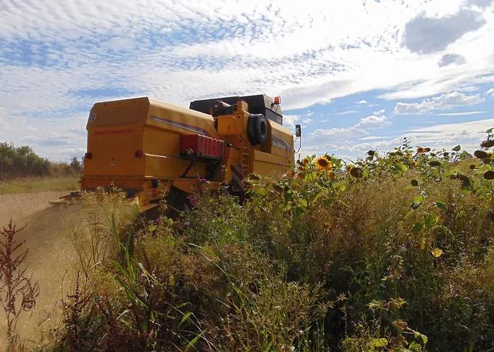 Ferienbauernhof Neumuehle Apartamento *
