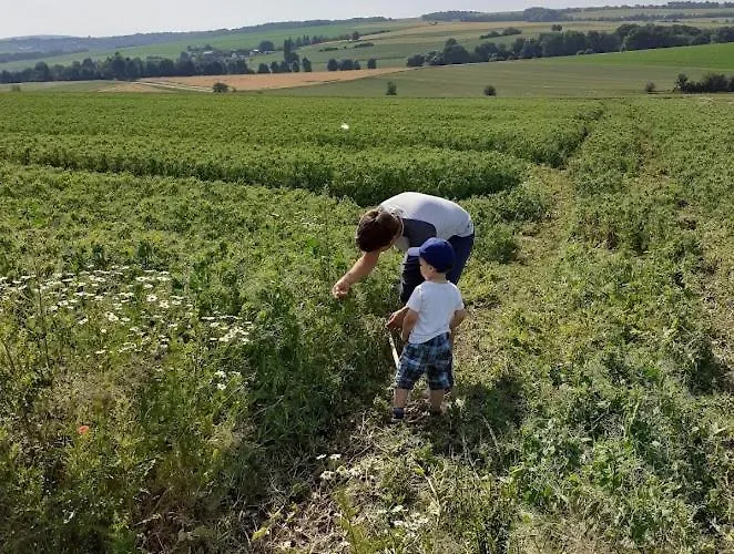 Apartamento Ferienbauernhof Neumuehle Gappenach