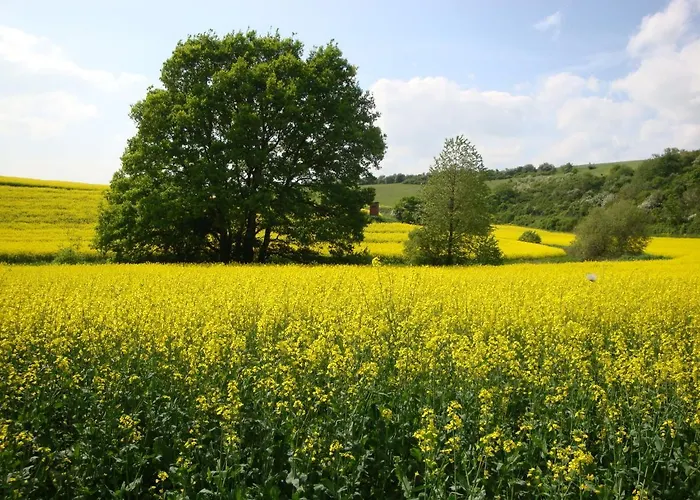 Apartamento Ferienbauernhof Neumuehle