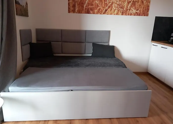 Apartment Ferienbauernhof Neumuehle *