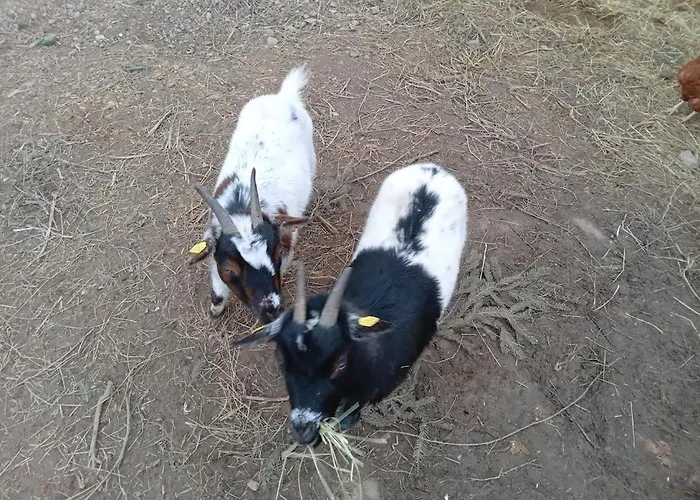 Ferienbauernhof Neumuehle