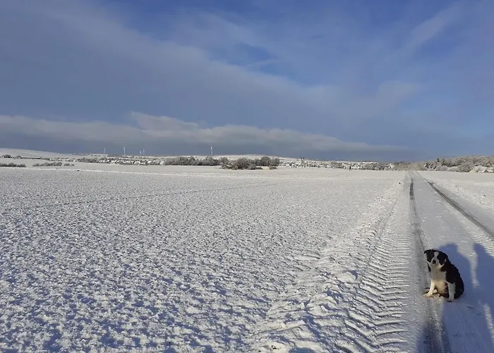 Ferienbauernhof Neumuehle Apartamento