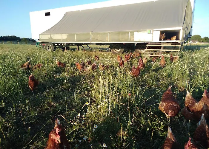 Ferienbauernhof Neumuehle * Gappenach