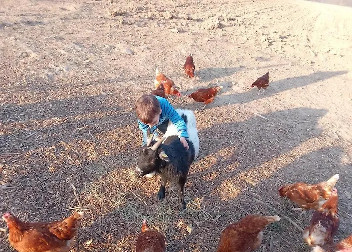 Ferienbauernhof Neumuehle Gappenach