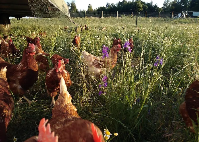 Ferienbauernhof Neumuehle